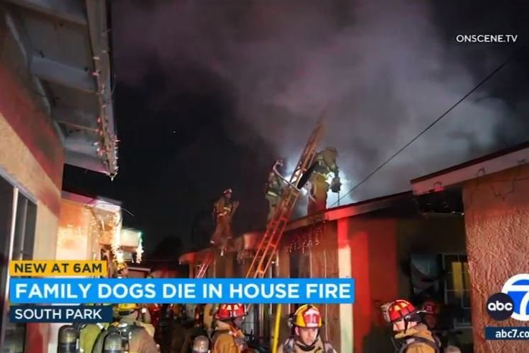 Two pet dogs burned to death in Christmas house fire in Southern California

