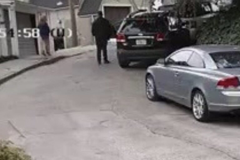 Los Angeles Mandarin Duck thief pretends to take a walk but actually steals car

