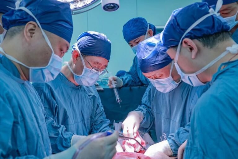 A savior for 400 million liver disease patients? China successfully transplants pig liver into brain-dead patient

