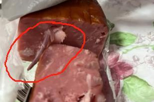  The ham has a rat's tail?Qingdao netizen: I'm about to vomit.  Creator: These are the blood vessels of animals

