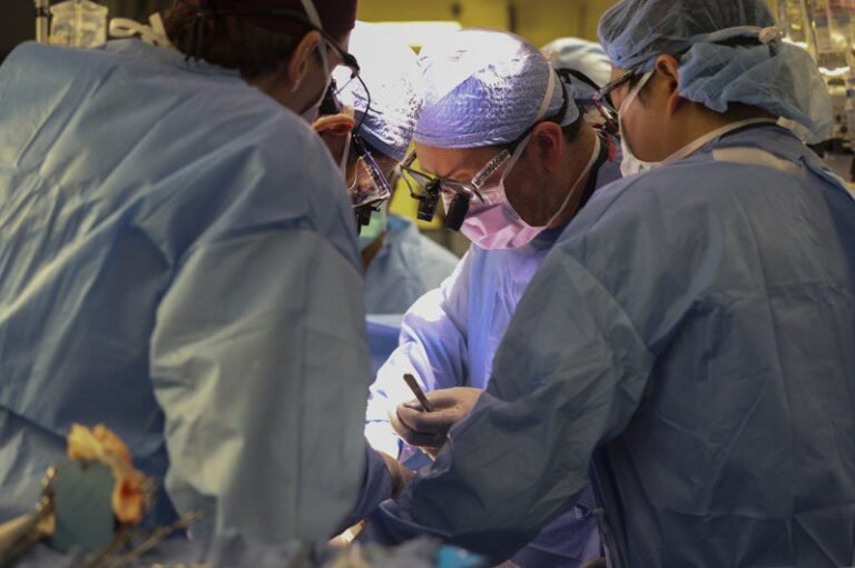 World's first human transplant of pig kidney successful, Massachusetts doctors burst into tears

