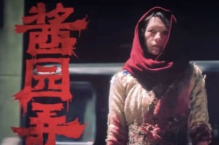 Zhang Ziyi became angry and told netizens to 