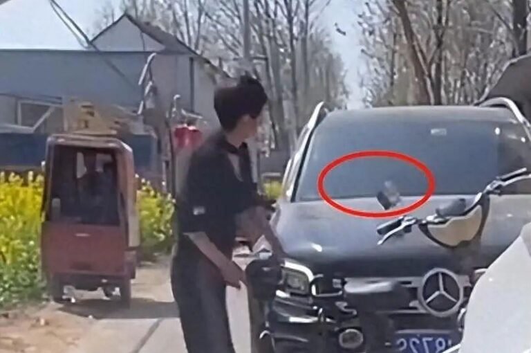  It crushed my garlic plants... The Henan woman smashed her Mercedes-Benz in anger.  