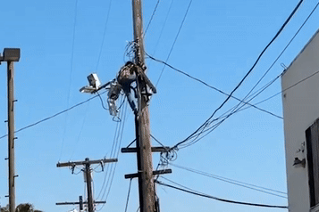 Man climbs telephone pole and refuses to get down to the ground: to charge his mobile phone

