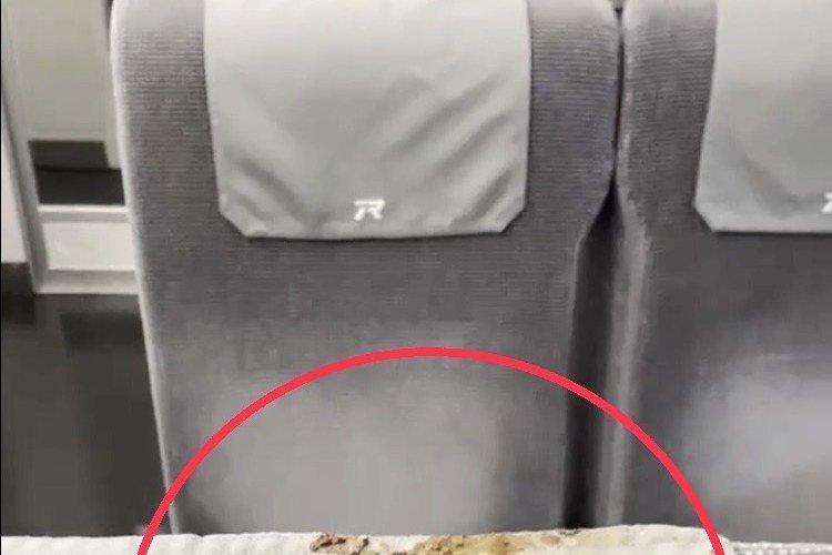 Railway police caught footage of feces smearing on seat 6 of Taiwan Railways' Ziqiang Line: There was only one person in the carriage.

